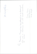 Dogs Bull Terriers - Vintage Photograph