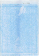 The crew of the oil tanker braer which ran aground. - Vintage Photograph