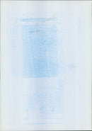 UN Peace troops salute during a seremony at thr UN camp - Vintage Photograph