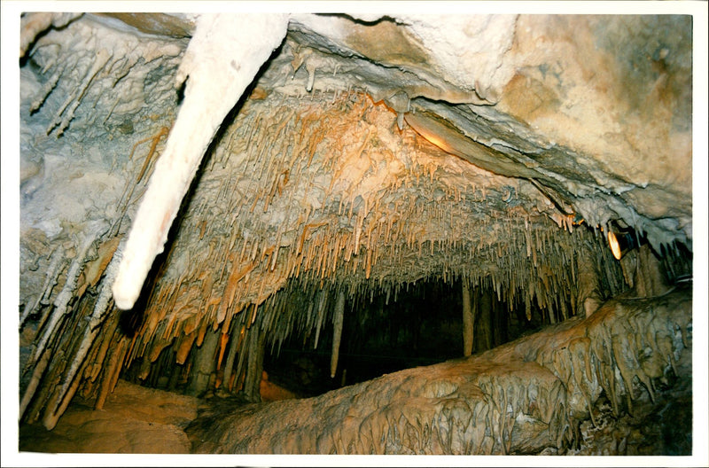 Blue Mountains Australia - Vintage Photograph
