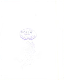 Egypt: Army - Vintage Photograph