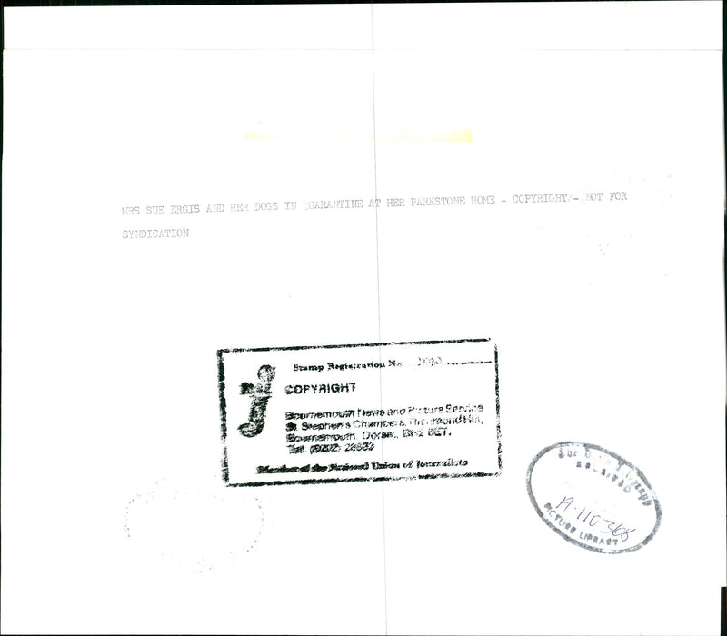 Mrs. Sue Ergis - Vintage Photograph