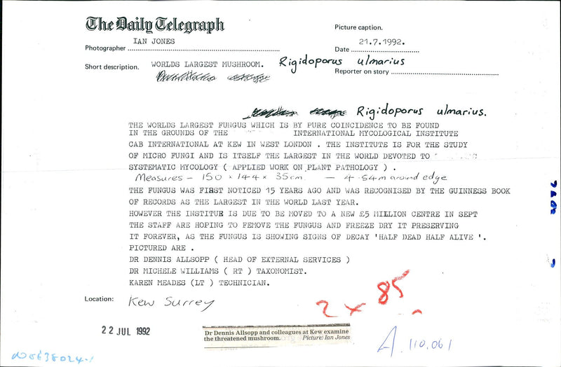 Dr. Dennis Allsopp with Dr. Michelle Williams and Karen Meades. - Vintage Photograph