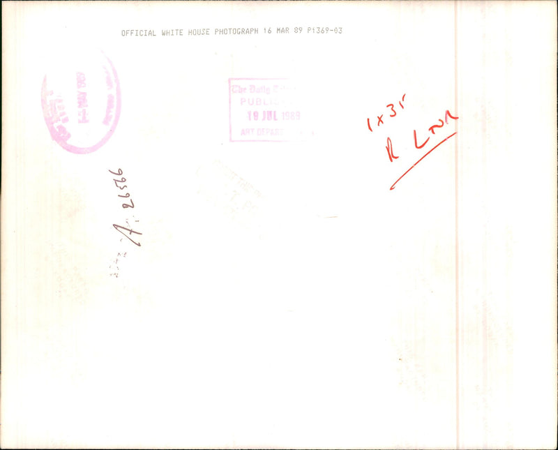 A photograph of a dog. - Vintage Photograph