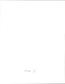 Armed militants continue to occupy the Presidential Palace. - Vintage Photograph