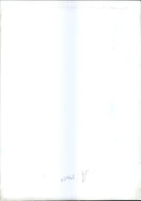 A Russian soldier who put a Russian New Flag. - Vintage Photograph