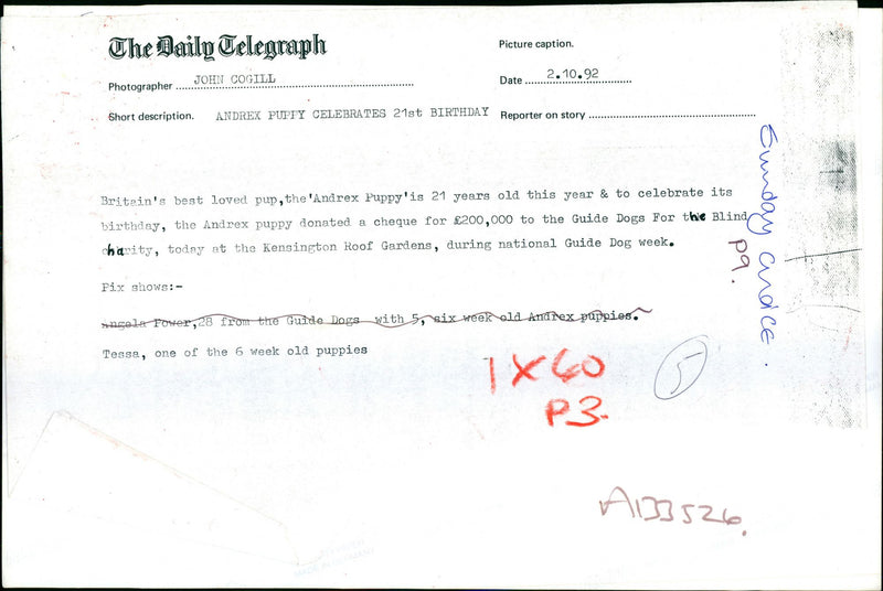 Advertisements - Vintage Photograph