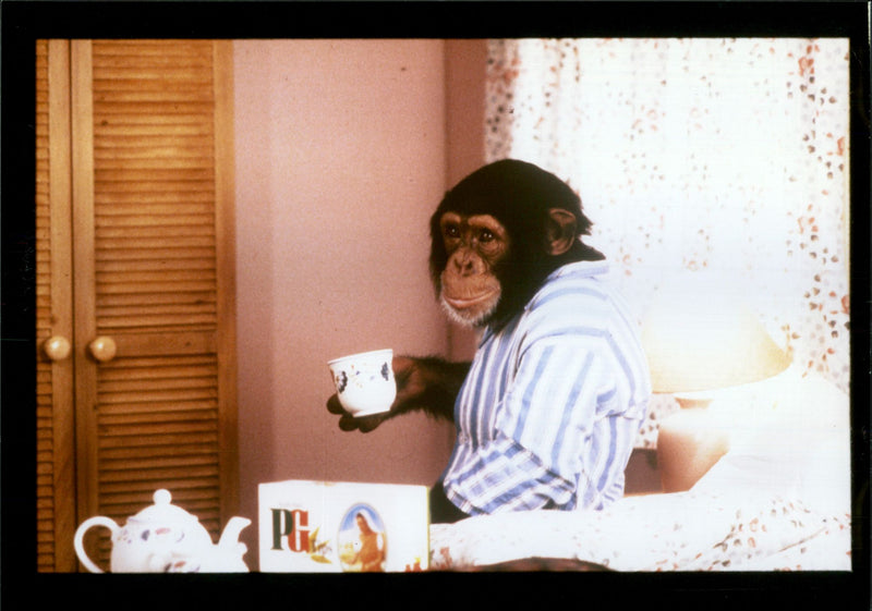 Advertisements - Vintage Photograph