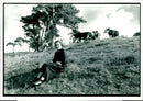 The Reverend Celia Carter at hero home aven house Farm with her black welsh sheep. - Vintage Photograph