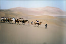 Taklamakan Desert. - Vintage Photograph