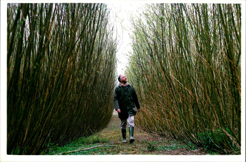 Trees: Murray Carter - Vintage Photograph