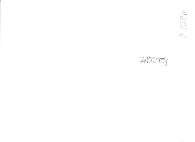 Trees: Rhododendron Racemosum - Vintage Photograph