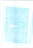 Yugoslavia-Slovenia - Vintage Photograph