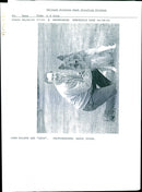 John Wilson - Vintage Photograph