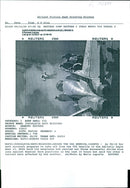 Yugoslavia-Nato-Missions; Aboard The USS America - Vintage Photograph