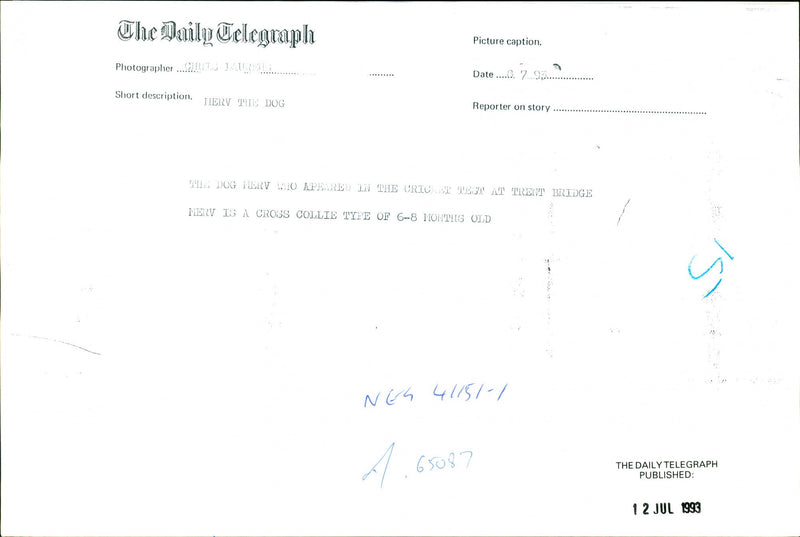 Merv, Dog - Vintage Photograph