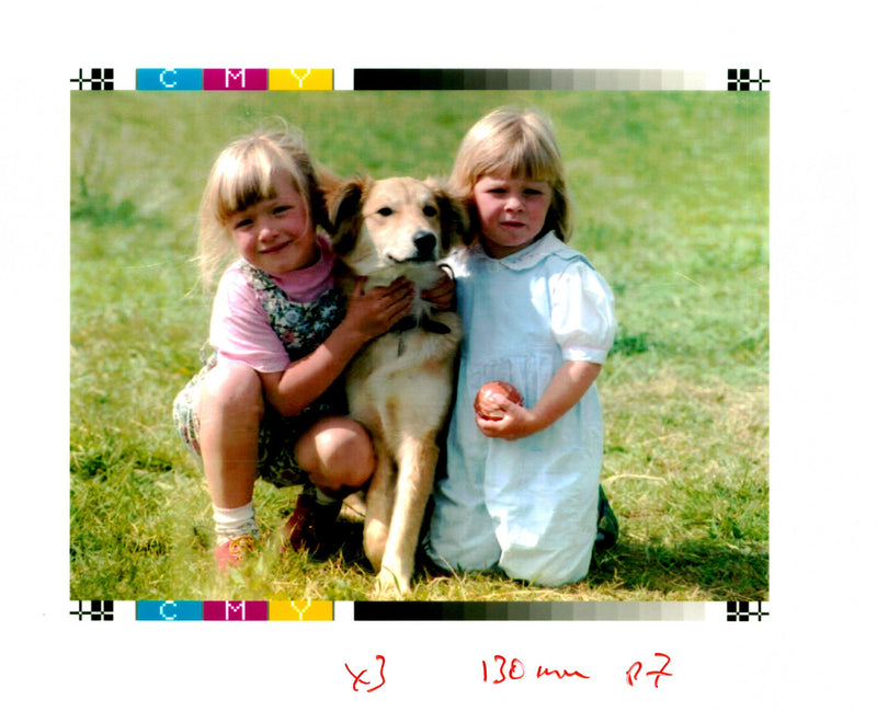 Merv, Dog - Vintage Photograph