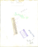 Gen. Sir. Richard Hull with Gen. Speidel. - Vintage Photograph