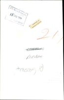 P. Kershaw - Vintage Photograph