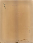 Michael Jackson with his wife. - Vintage Photograph