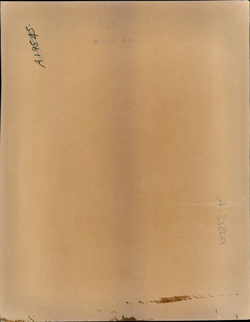 Michael Jackson with his wife. - Vintage Photograph