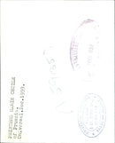 Princess Marie CÃ©cile of Prussia - Vintage Photograph