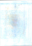 A Farmer sets fire to spanish tomatoes on the main Canebiere Avenue. - Vintage Photograph