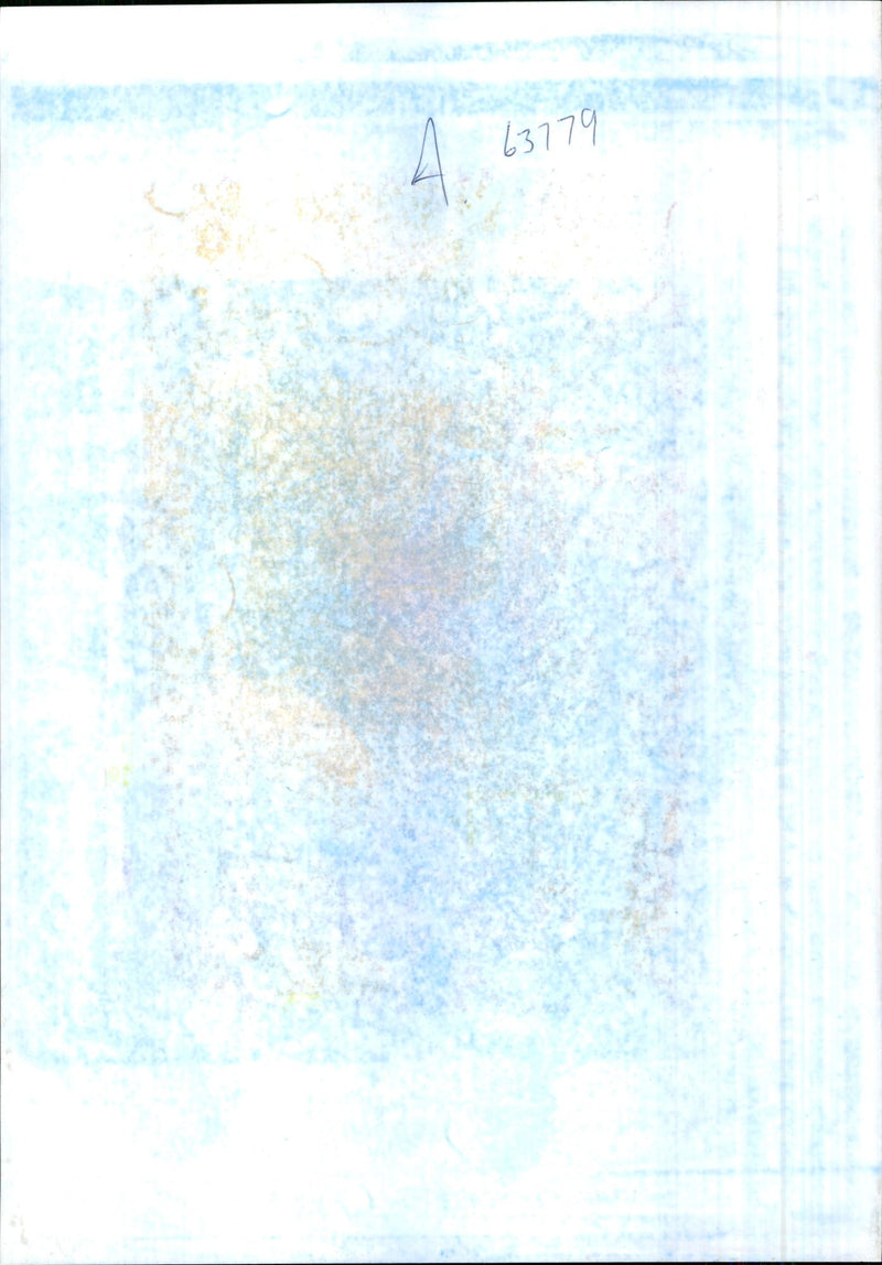 A Farmer sets fire to spanish tomatoes on the main Canebiere Avenue. - Vintage Photograph