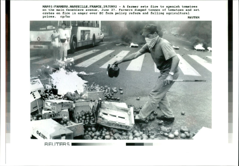 A Farmer sets fire to spanish tomatoes on the main Canebiere Avenue. - Vintage Photograph