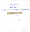 Musical care at Svindersvik. The hosts Olle Engkvist and Andreas Lindblom with Helga Görlin and Käbi Laretei - Vintage Photograph