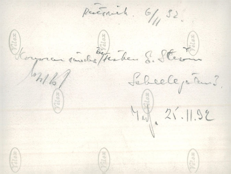 Rättvik winter picture nature - Vintage Photograph