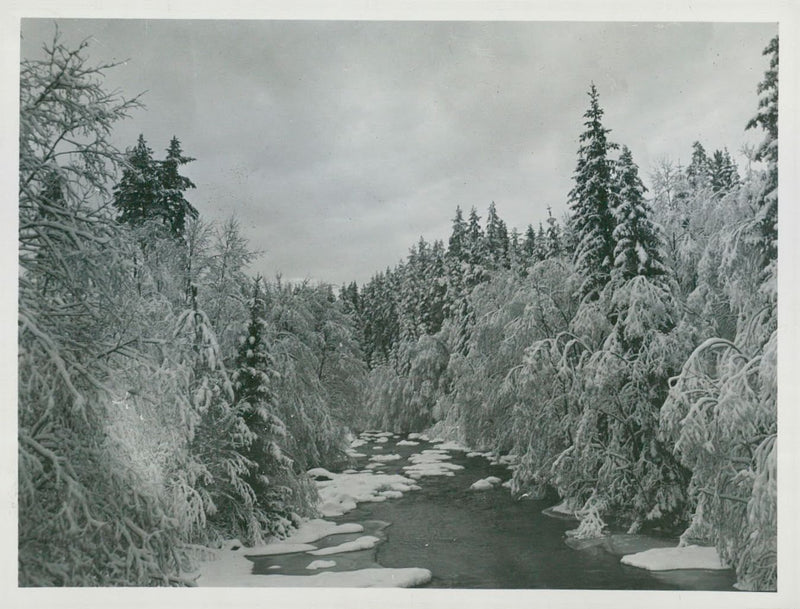 Rättvik winter picture nature - Vintage Photograph