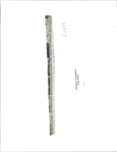 Band Crosby, Stills & Nash's members during their concert - Vintage Photograph