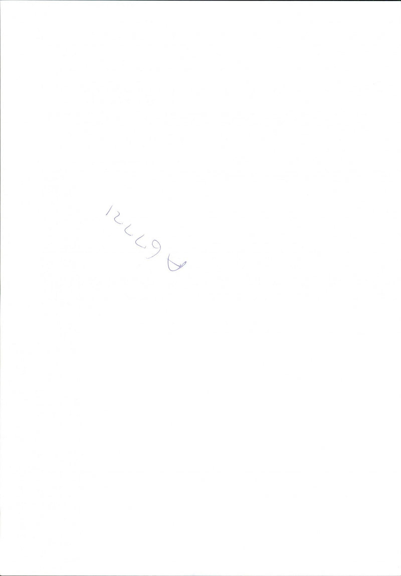 Tomatoes - Vintage Photograph