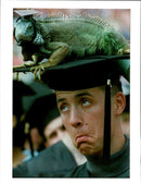 Reptile Iguana - Vintage Photograph