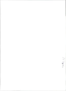 Reptile Iguana - Vintage Photograph