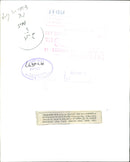 Reptile Iguana - Vintage Photograph