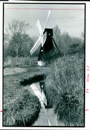 Wicken Fen Nature Reserve. - Vintage Photograph