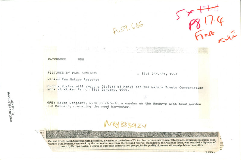 Wicken Fen Nature Reserve. - Vintage Photograph