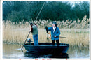 Wicken Fen Nature Reserve. - Vintage Photograph