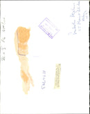 M. J. Campbell-Lamerton. - Vintage Photograph