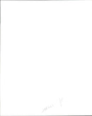 The Suede Group Rock Band. - Vintage Photograph