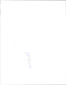 Palm Trees: Juan Manuel Blanco - Vintage Photograph