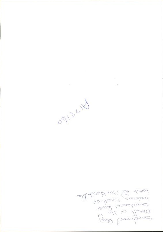 Sandwood Estate - Vintage Photograph