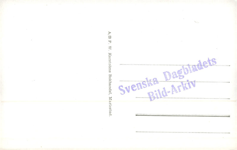 Mariestad. Samreal school from church tower - postcard - Vintage Photograph