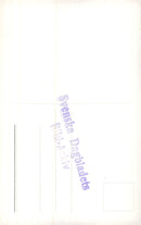 Swans in SvartÃ¥n, MjÃ¶lby - Vintage Photograph