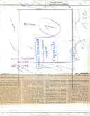 Dolphin Flapp at KolmÃ¥rden Zoo - Vintage Photograph