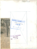 Dolphin pool at KolmÃ¥rden zoo - Vintage Photograph