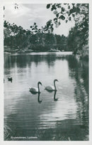 Depth school, Lycksele. - Vintage Photograph