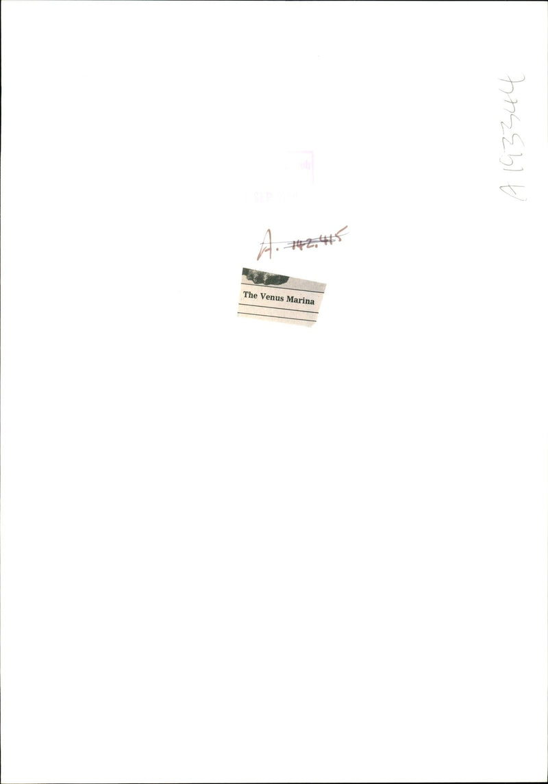 An 18th century white marble half length figure of Venus Marina. - Vintage Photograph